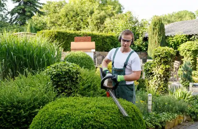 landscaping services Savanna